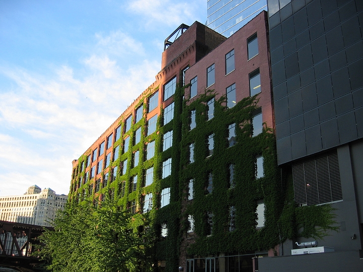 17 downtown Chicago architecture.JPG